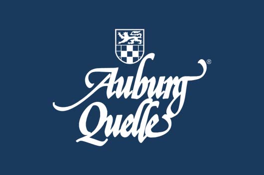 THW-Unternehmensberatung-Auburg-Quelle-Logo