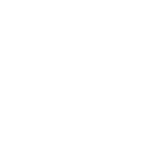 Icon UVV Prüfung